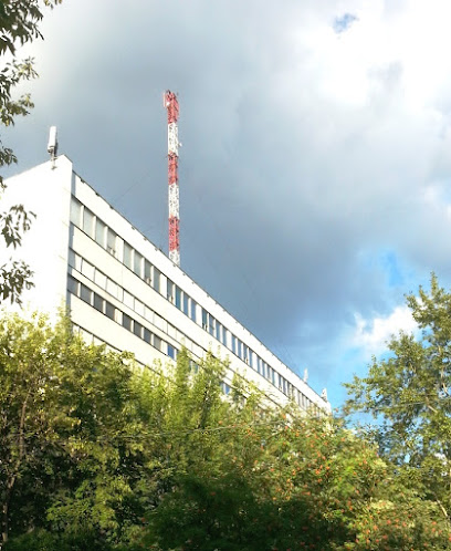Монтессори-Сити