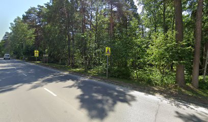 Муниципальное бюджетное общеобразовательное учреждение города Новосибирска "Средняя общеобразовательная школа №162 с углубленным изучением французского языка"