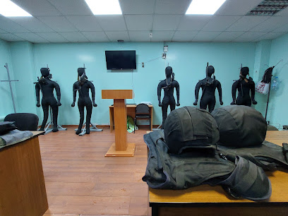 Академинекс