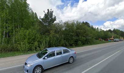Барс, кинологический центр