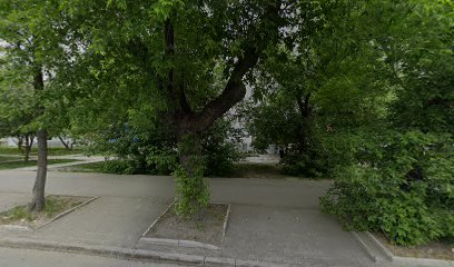 Дайдо