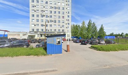 Volleyart