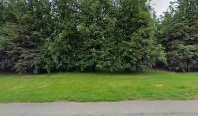 Детский Сад № 1297