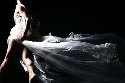 PALESTRA DANCE