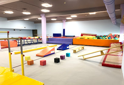 Moscow Gym