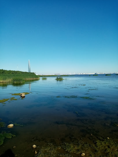 Ольгино