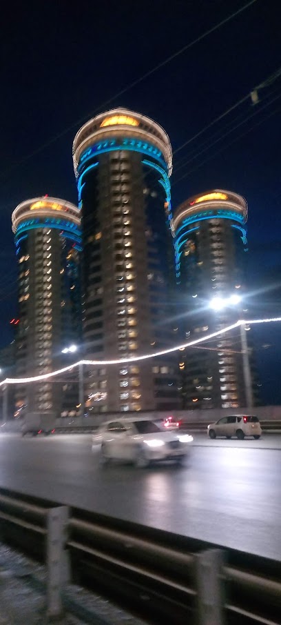 Новосибирские новости