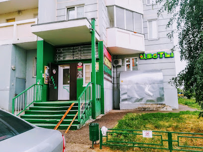 Светофор