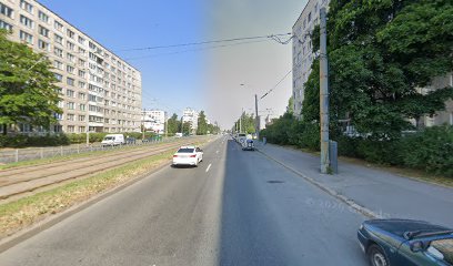 Томатис 4 уровень Курганова Ольга