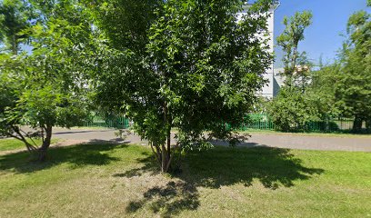 Школа Космонавтов