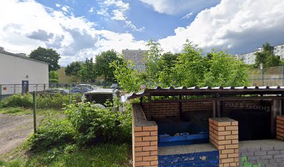 Государственное бюджетное общеобразовательное учреждение города Москвы школа Марьино имени Маршала авиации А. Е. Голованова, дошкольное отделение Родничок