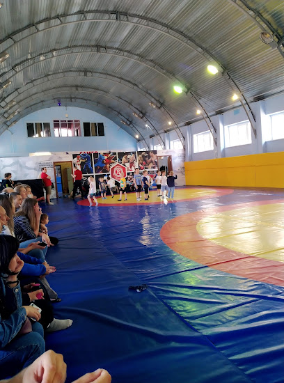 Центр спортивной борьбы