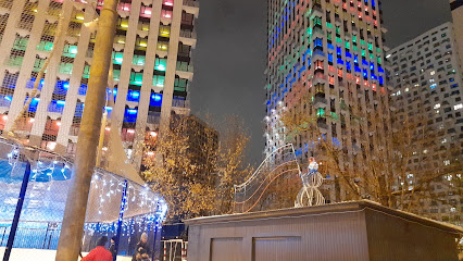 Каток, Спорт Площадка
