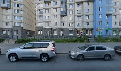 Времена года