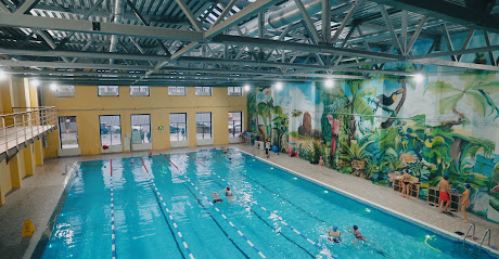 SwimRocket Школа плавания