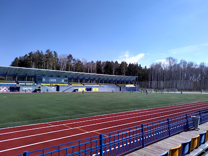Электрон, стадион