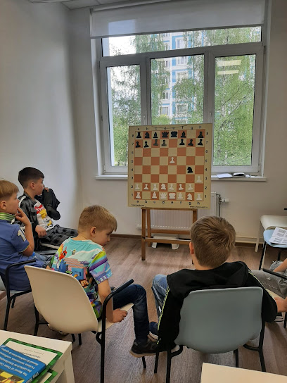 Лабиринты Шахмат