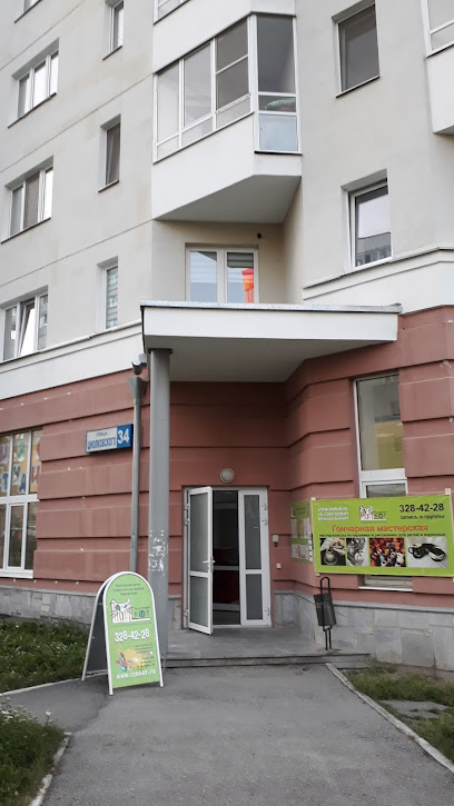 Студия изобразительного искусства Полосатый кот