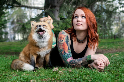 Angry Fox Tattoo