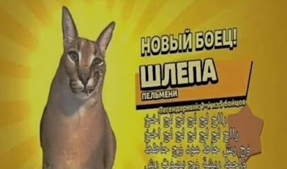 Школа № 283