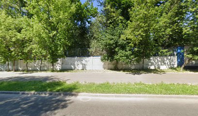 Танцуем вместе | Школа танцев ВДНХ | Танцы для полных, восточные танцы, зумба