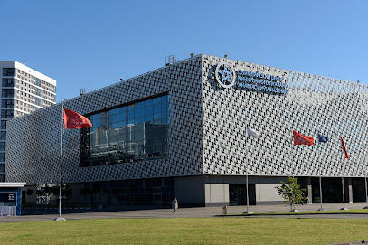 SwimRocket Школа плавания