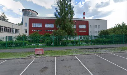 Vital Swim Club