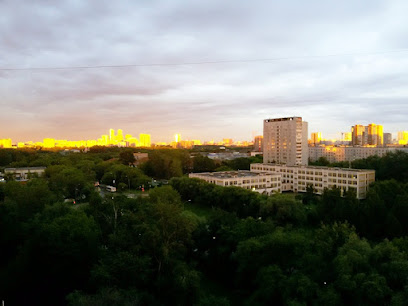 ГБОУ Школа №950