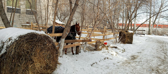 ЛИДЕР