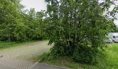 Арабеск Студия Танцев