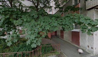 Наша семья, сеть академий родительской культуры