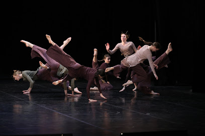 Хореографический конкурс "DanceMoscow"