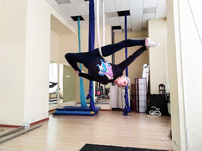 MONKEY DANCE STUDIO