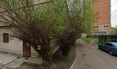 Сад Макарун