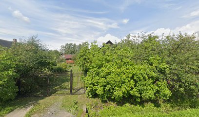 Junglish