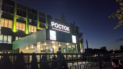 Центр дополнительного образования детей "Росток"