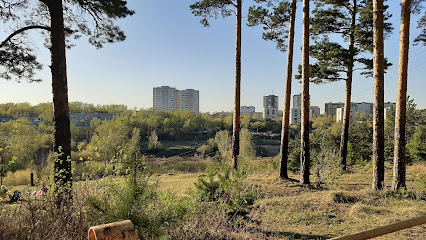 Уктусские горы