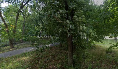 Воля