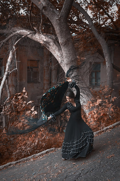 Школа танцев Ирины Никитиной "FLAMENCO VIVO"