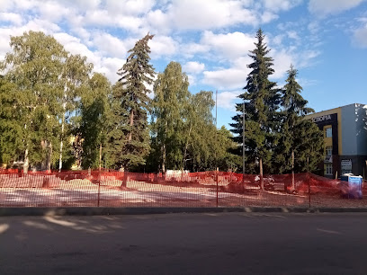 Полет