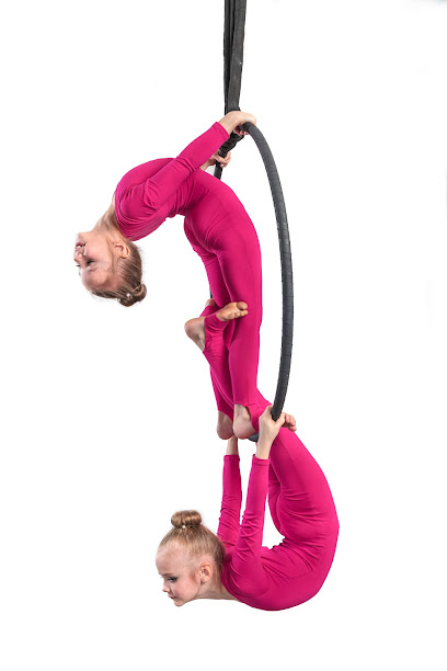 Школа Воздушной гимнастки г. Балашиха "Air Gym School"