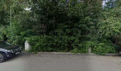 Апельсинка