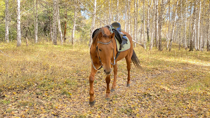 ВЕЛЕС, конный клуб