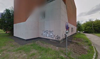 ЧАЙКА