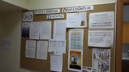 International Professional Training