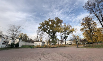 Покровский Кафедральный Собор Воскресная Школа