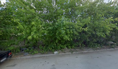 Лидер Урал
