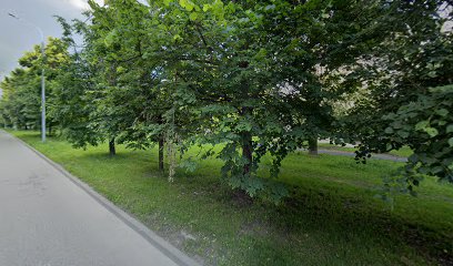 Школа Балета Жете