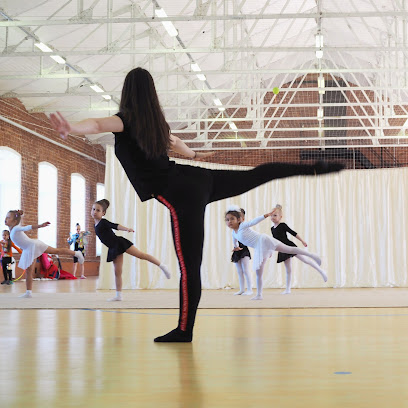 Школа художественной гимнастики GymBalance на Туристской