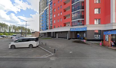 Академика